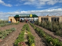 Фермата на Lidl – когато децата научават, че храната не идва от магазина