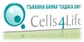 Стволовите клетки от пъпна връв –  алтернатива за лечение на много болести