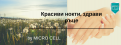 Съвети за здрави и красиви нокти